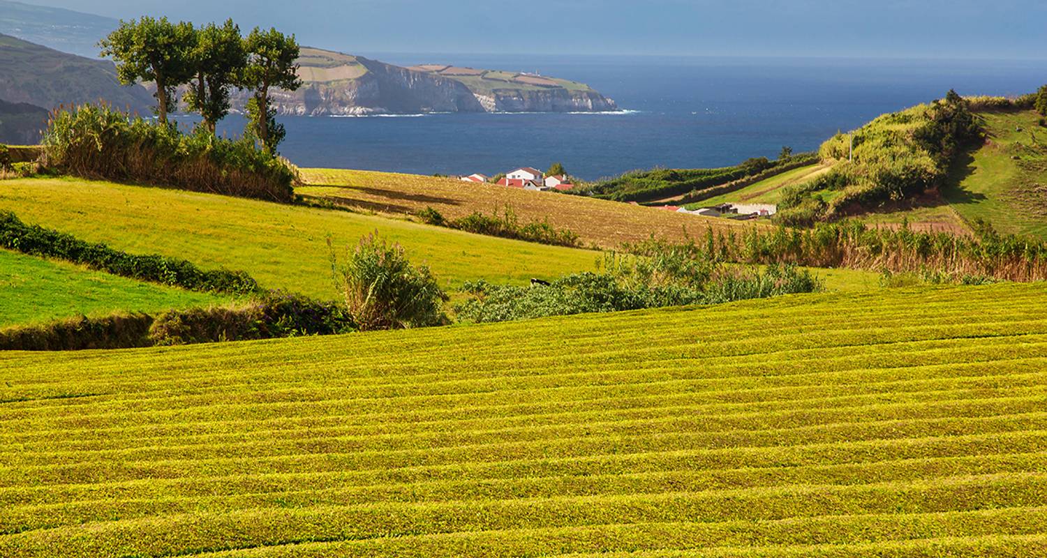 Portugal Kulinarikreise Rundreisen
