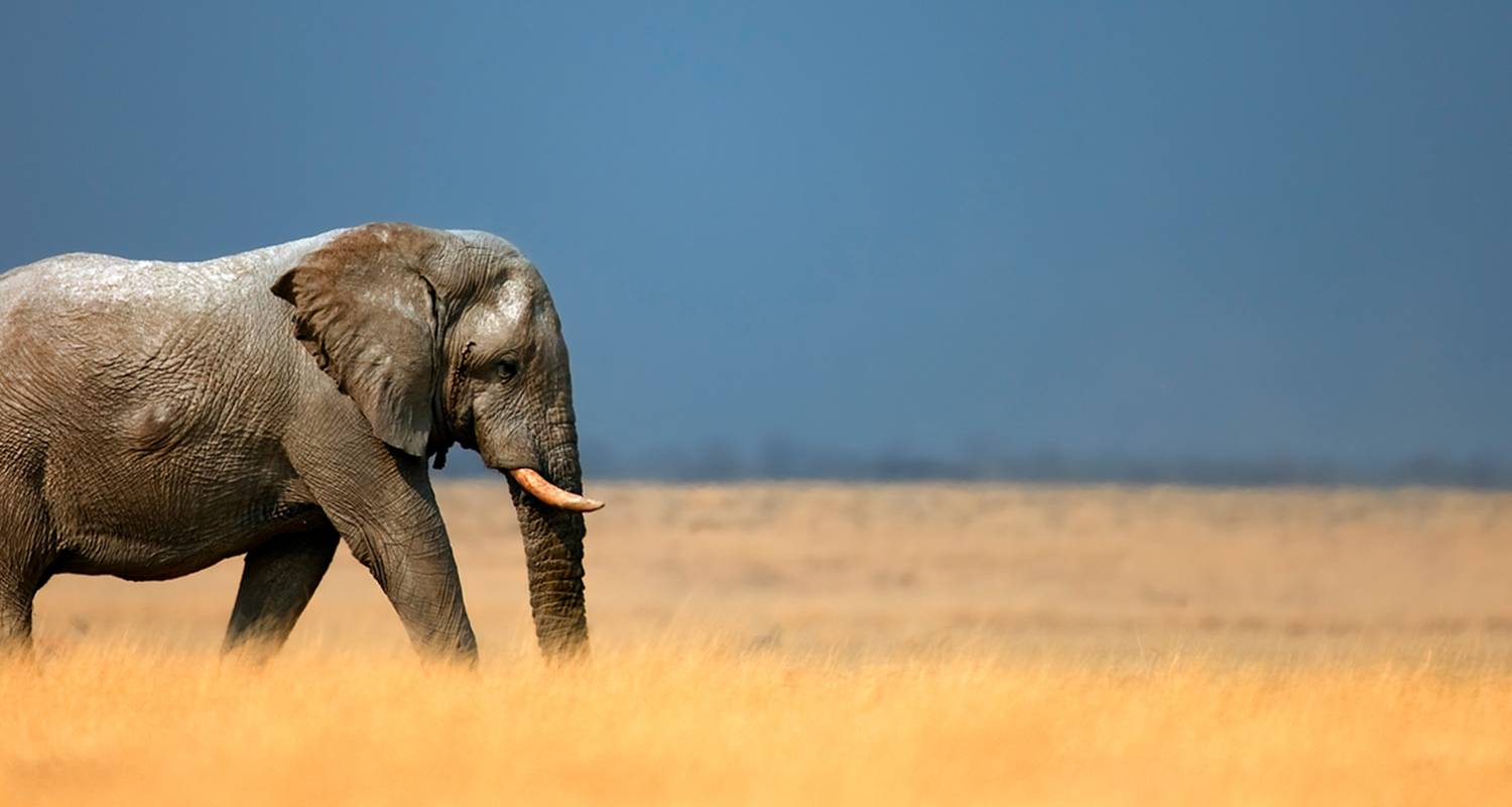 2-Week Namibia Tour Packages