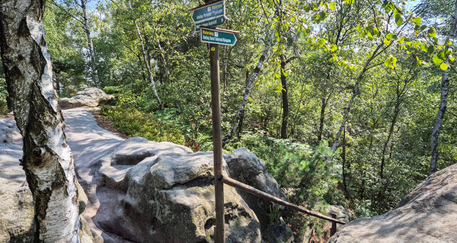 Voyages romantiques et lunes de miel en Saxe pour les couples