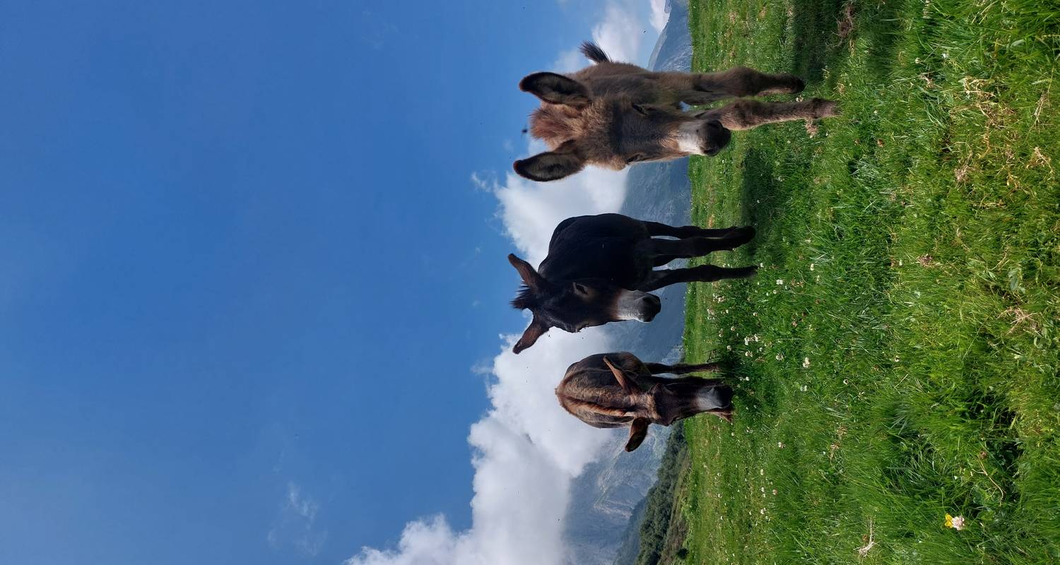 Sporty Hiking Vacation in the Picos de Europa National Park 8 Days - ASI Reisen