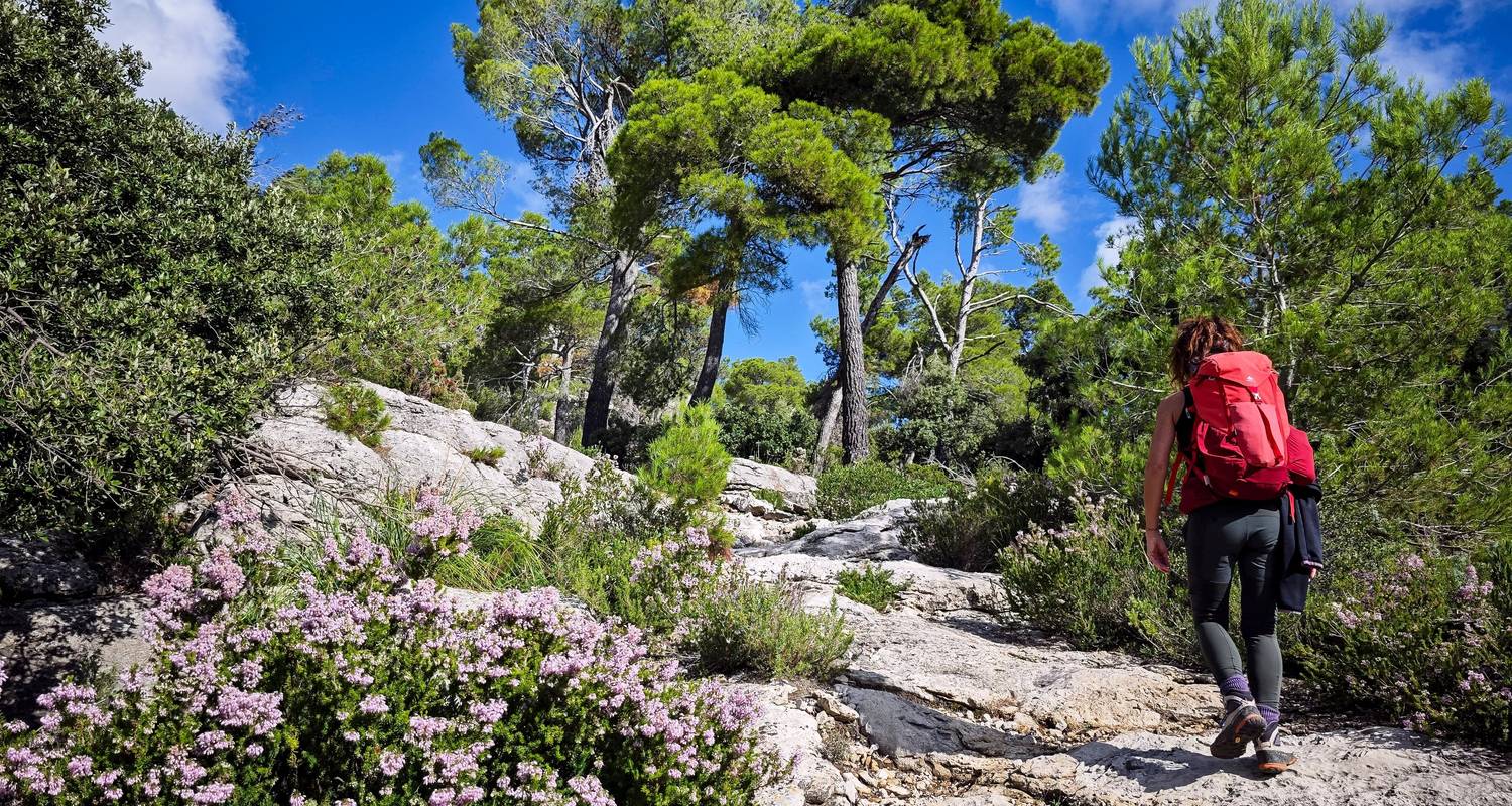 Mallorca Rondreizen
