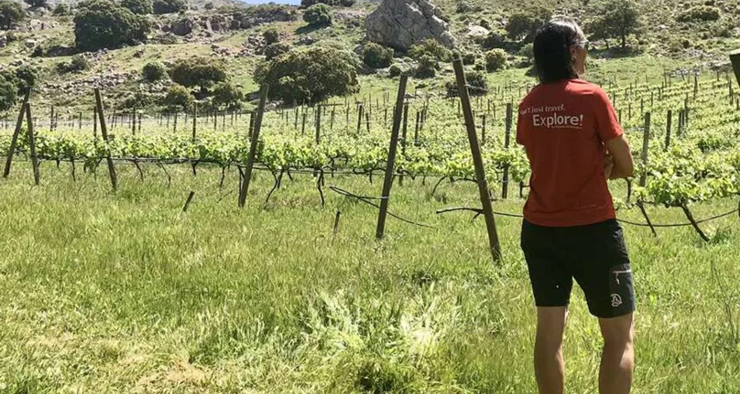 Vida Local circuitos en Andalucía