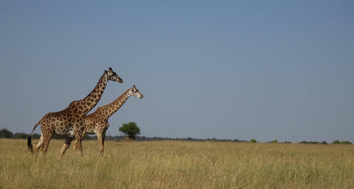 Circuitos por Kenia de 7 días