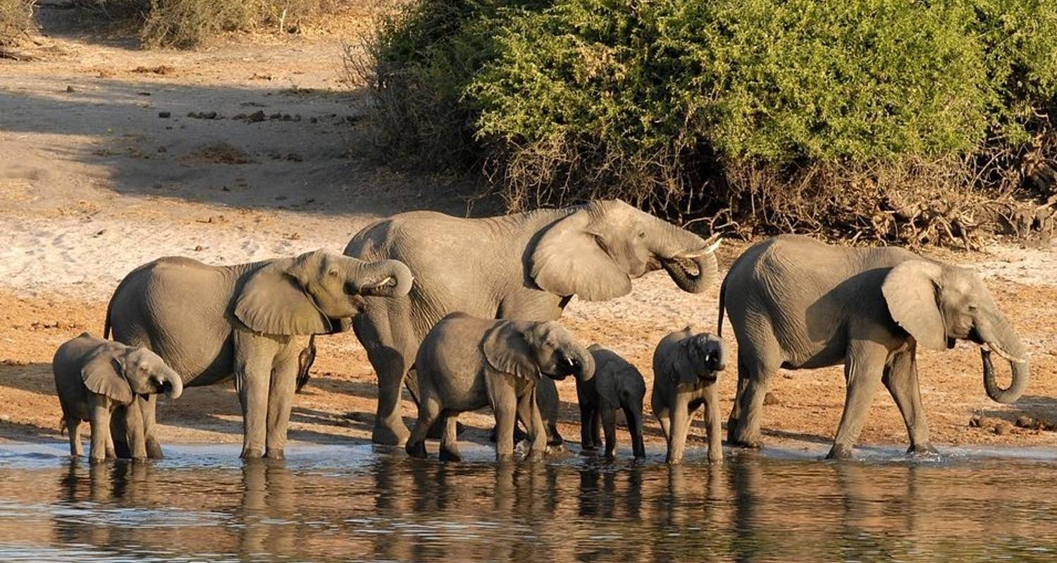 Botswana Elephant Trail - World Expeditions