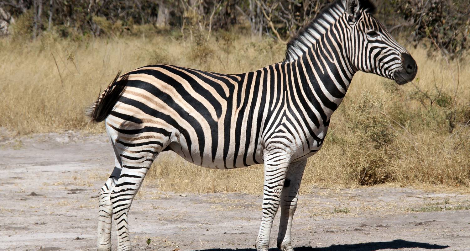 Botswana Überlandreise Rundreisen