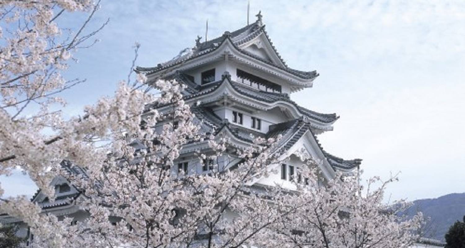 Circuits Japon de 3 semaines