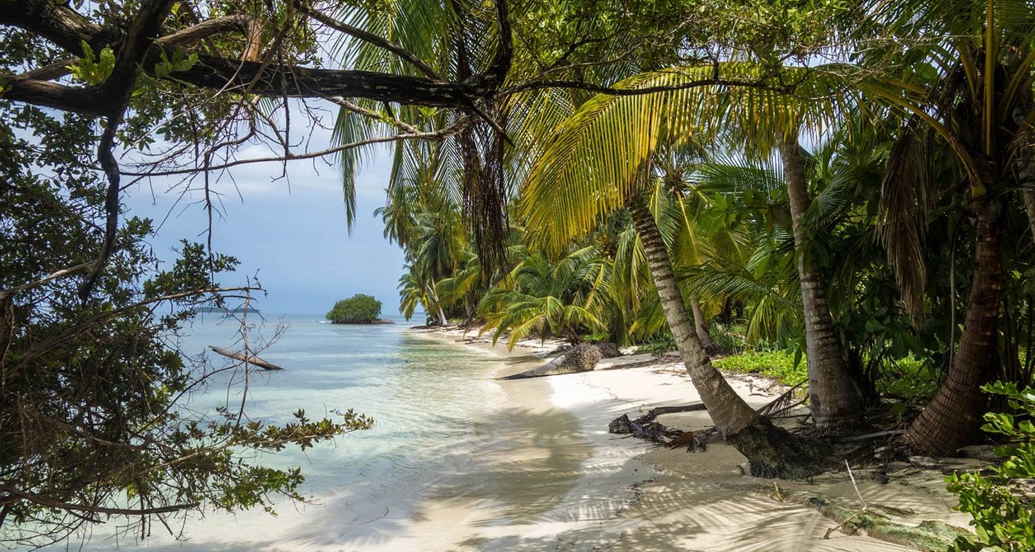 Lateinamerika Safari