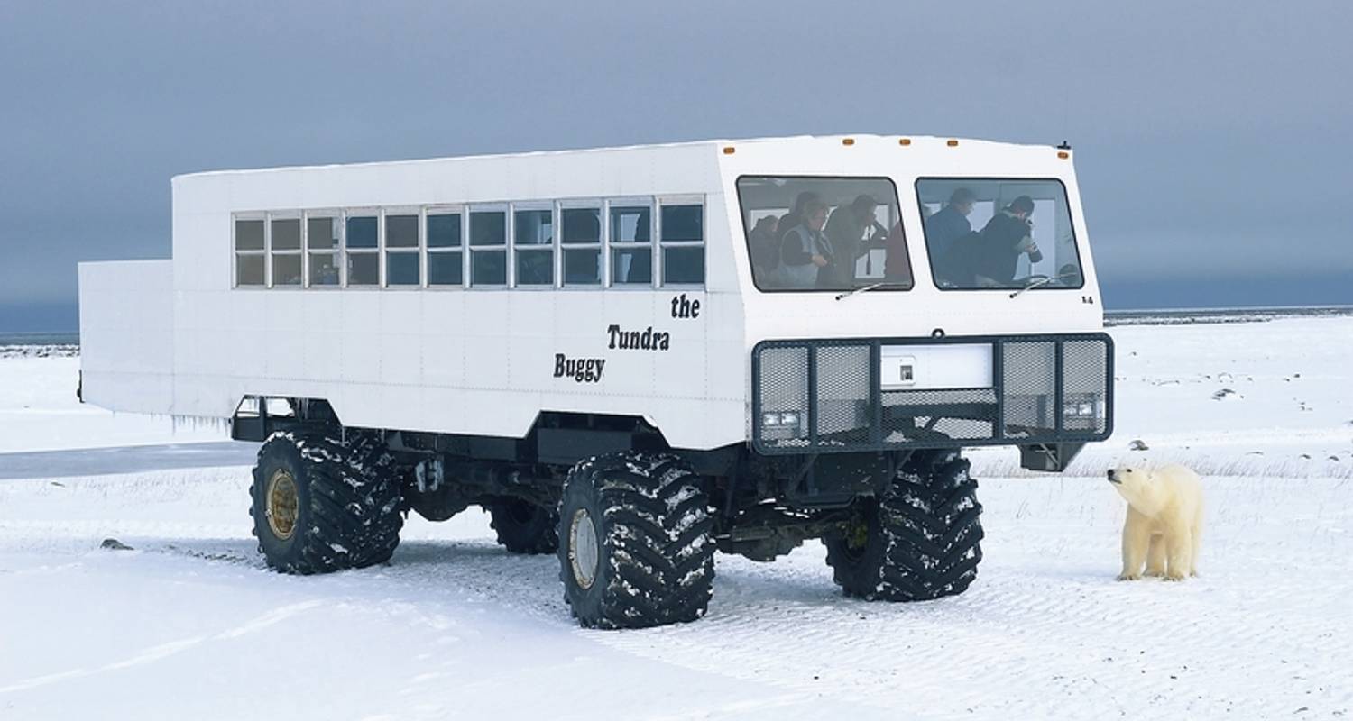 Canada Tours in November 2026