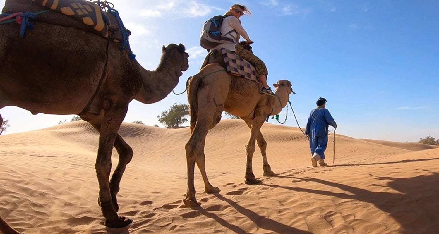 Maroc Safaris 2025/2026