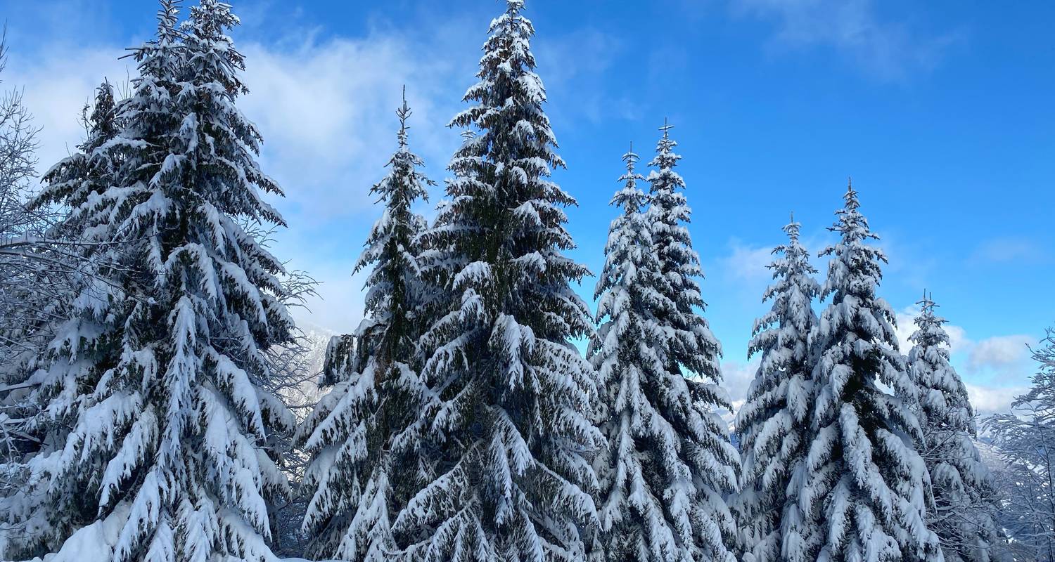 Winter Walks in Europe