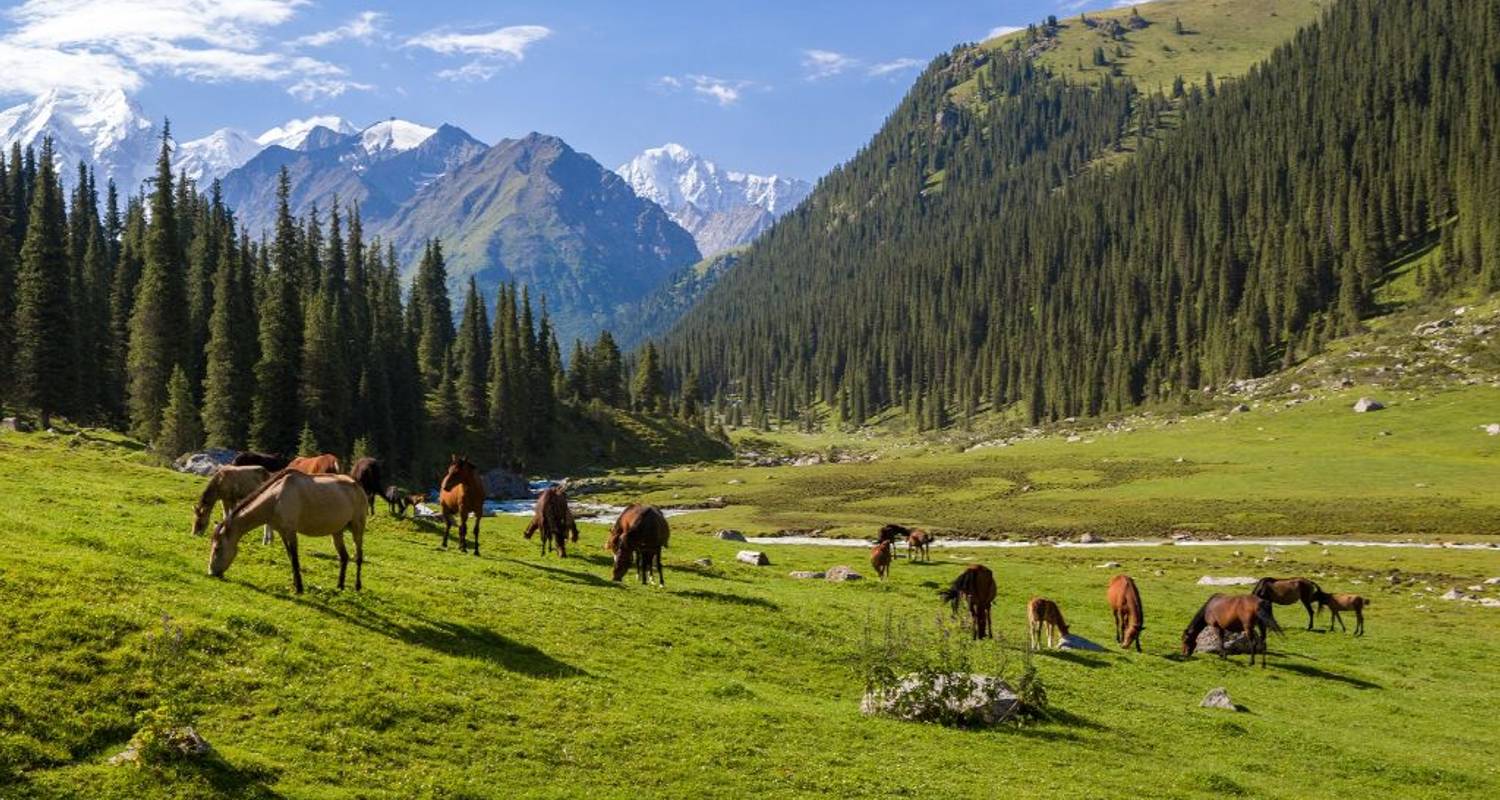 Circuits Kirghizistan en petit groupe