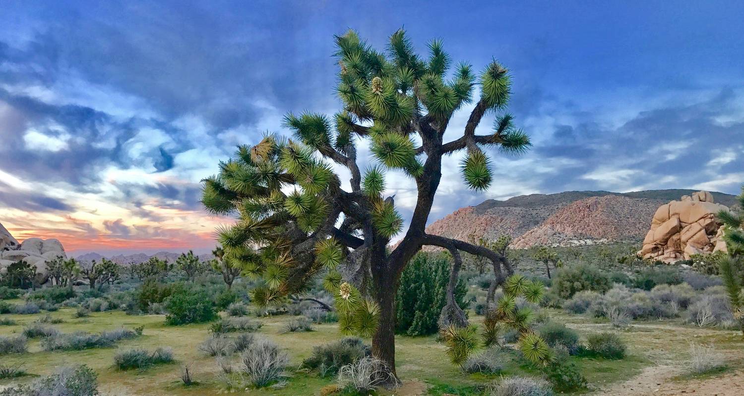 Groepsreizen met kleine groepen in Zuid-Californië