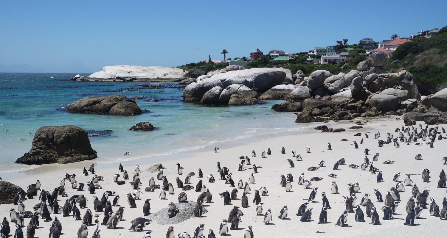 3-Day Garden Route Tour Packages