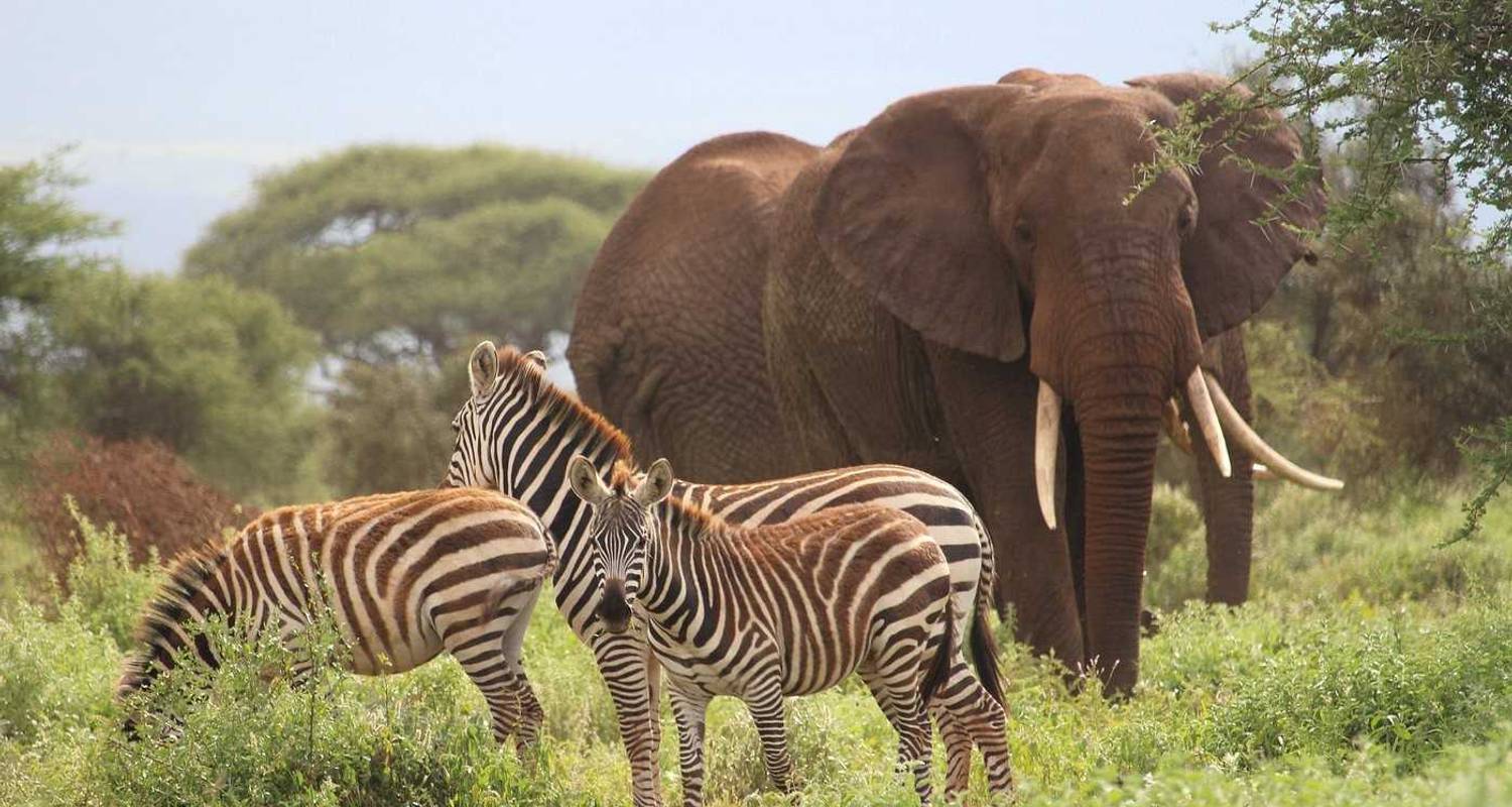3 Tage Amboseli Rundreisen