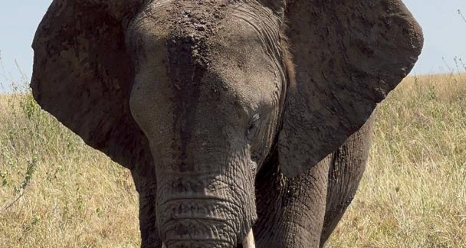 3-Day Tanzania Tour Packages