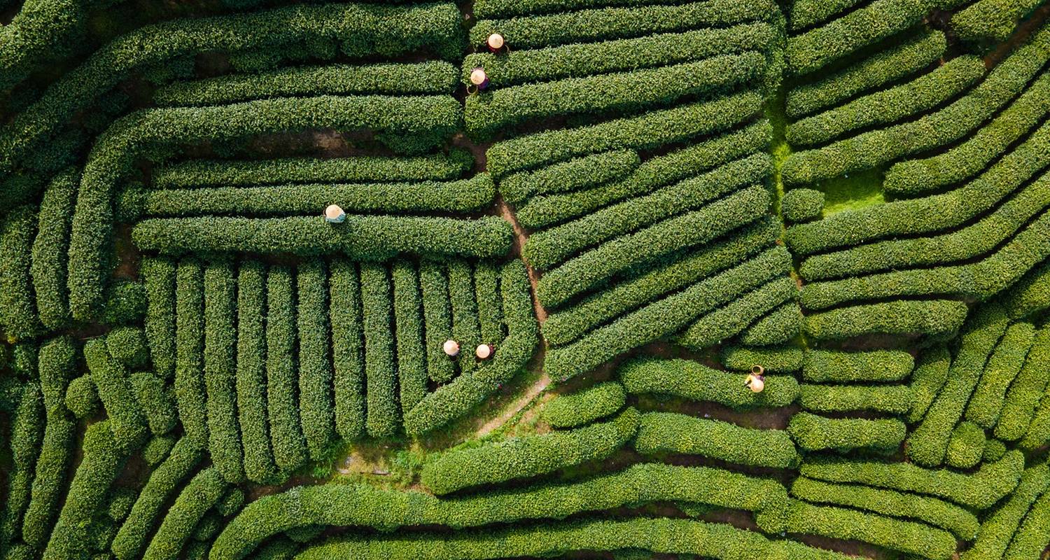 7 Tage Zhejiang Rundreisen