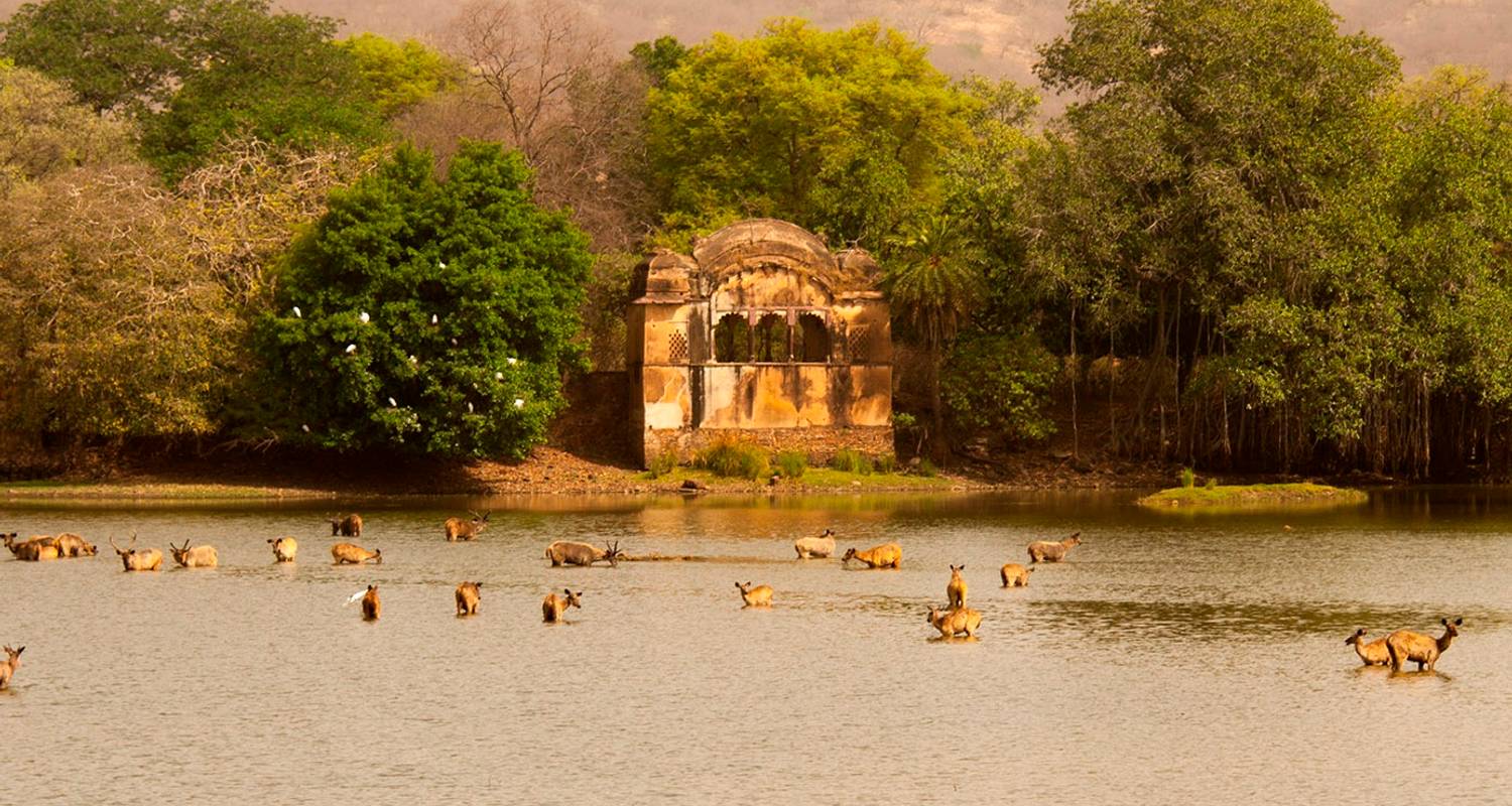 3-Week India Tour Packages