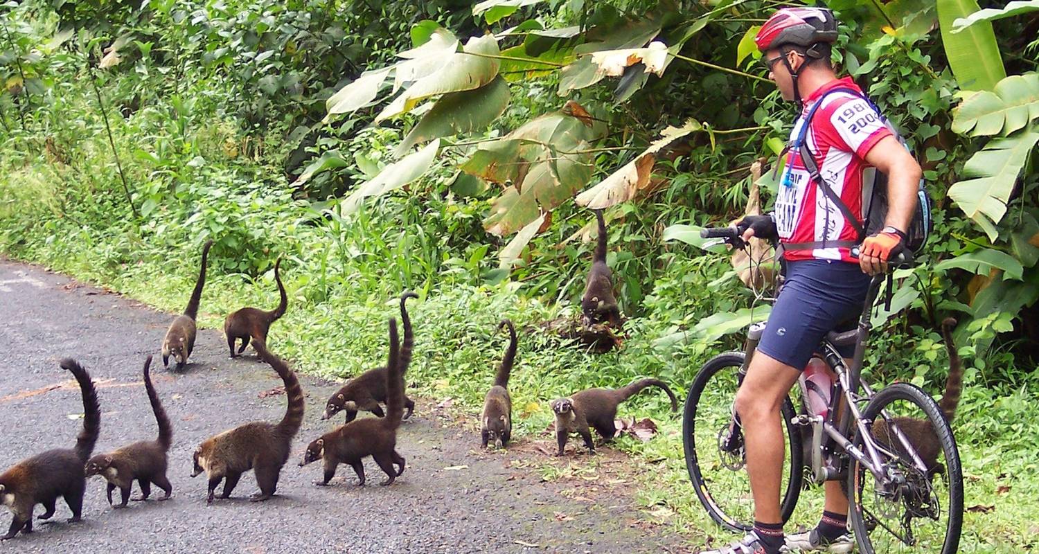 Circuits et voyages haut de gamme en Costa Rica