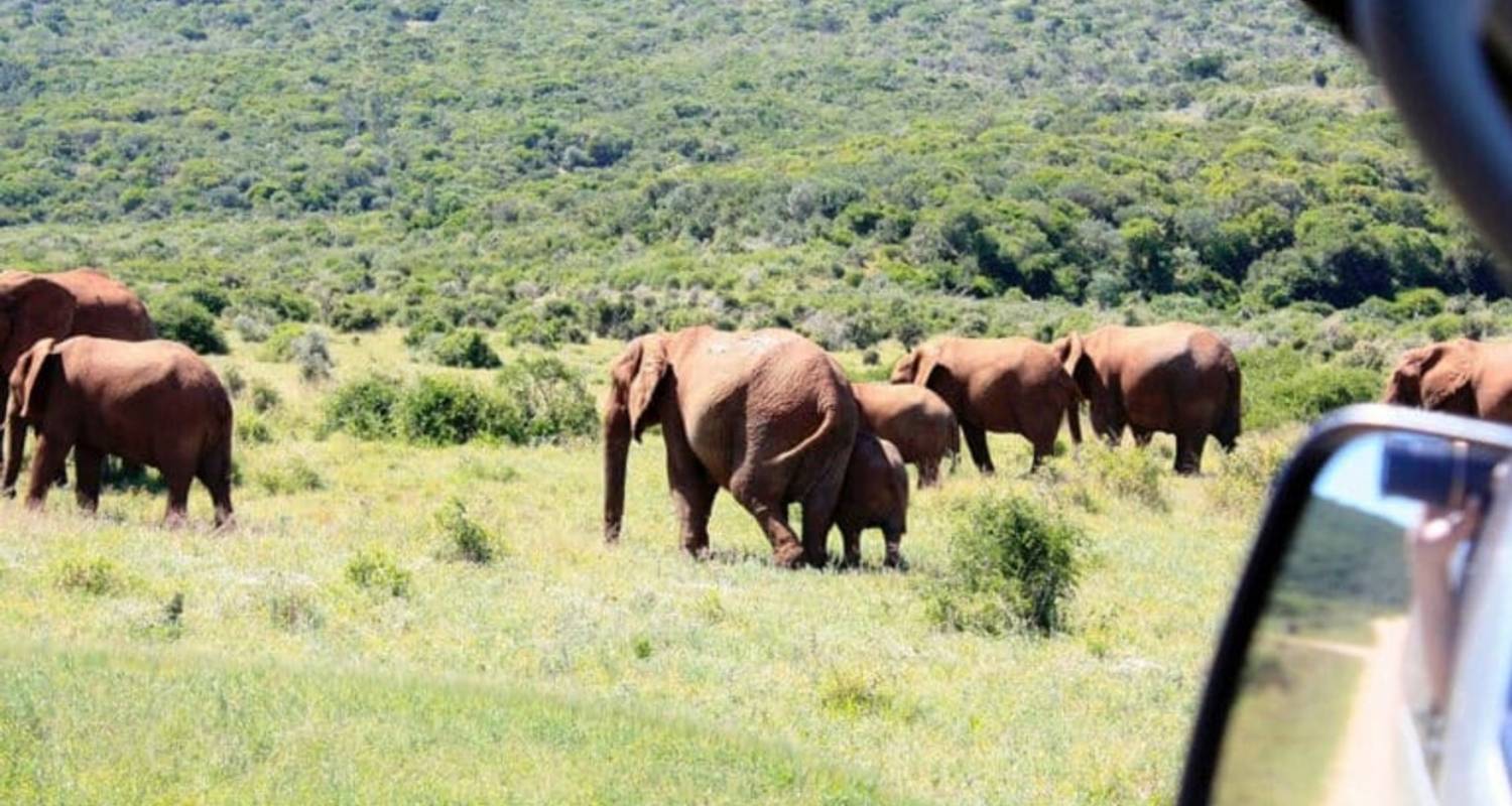 Circuits et voyages de 3 Jours dans le Garden Route