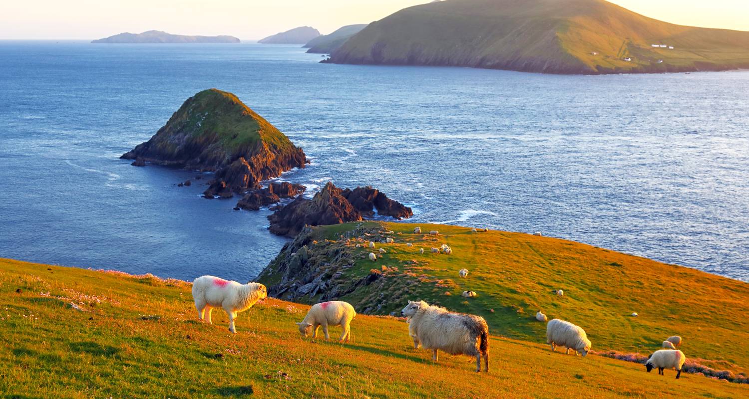 Singlereisen in Südirland