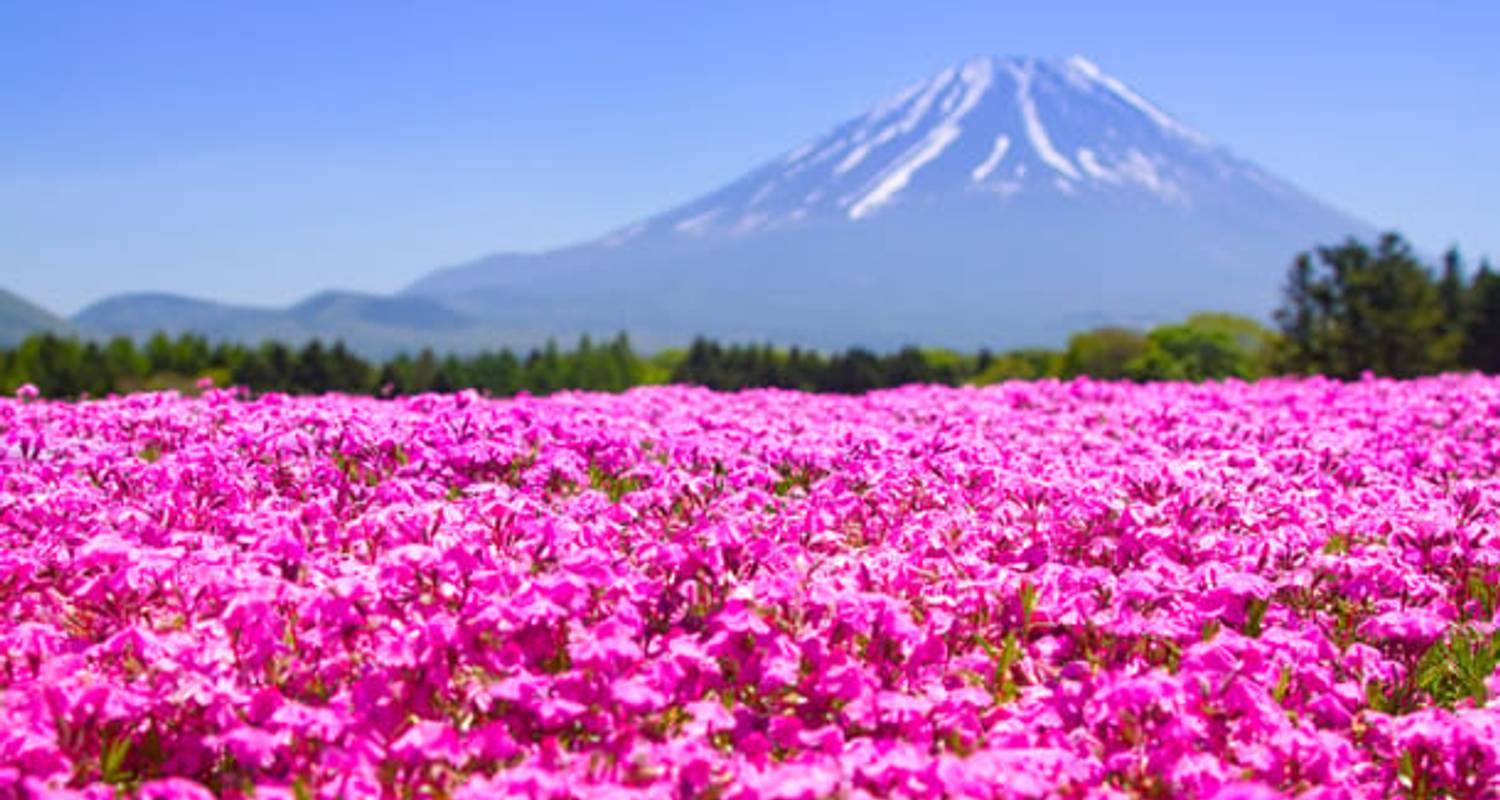 Single reizen in Centraal-Japan
