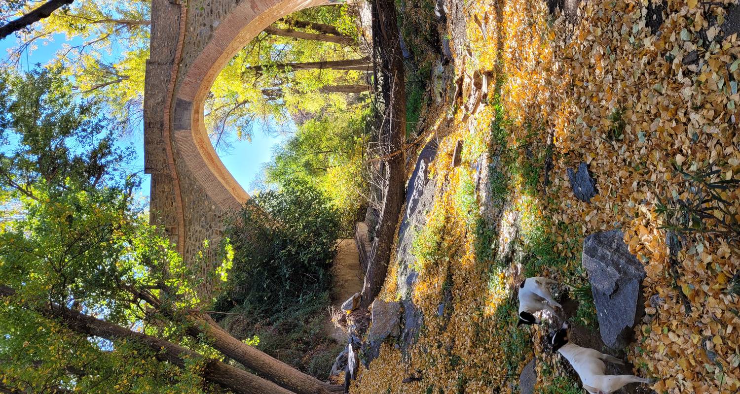 Circuits et voyages de 7 Jours dans le Andalousie