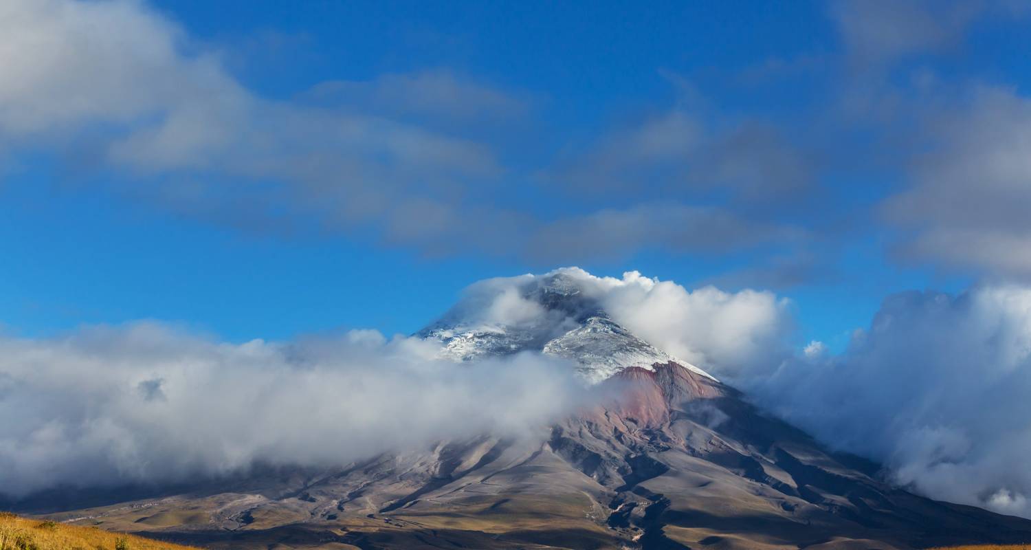 Circuits aux Avenue des Volcans