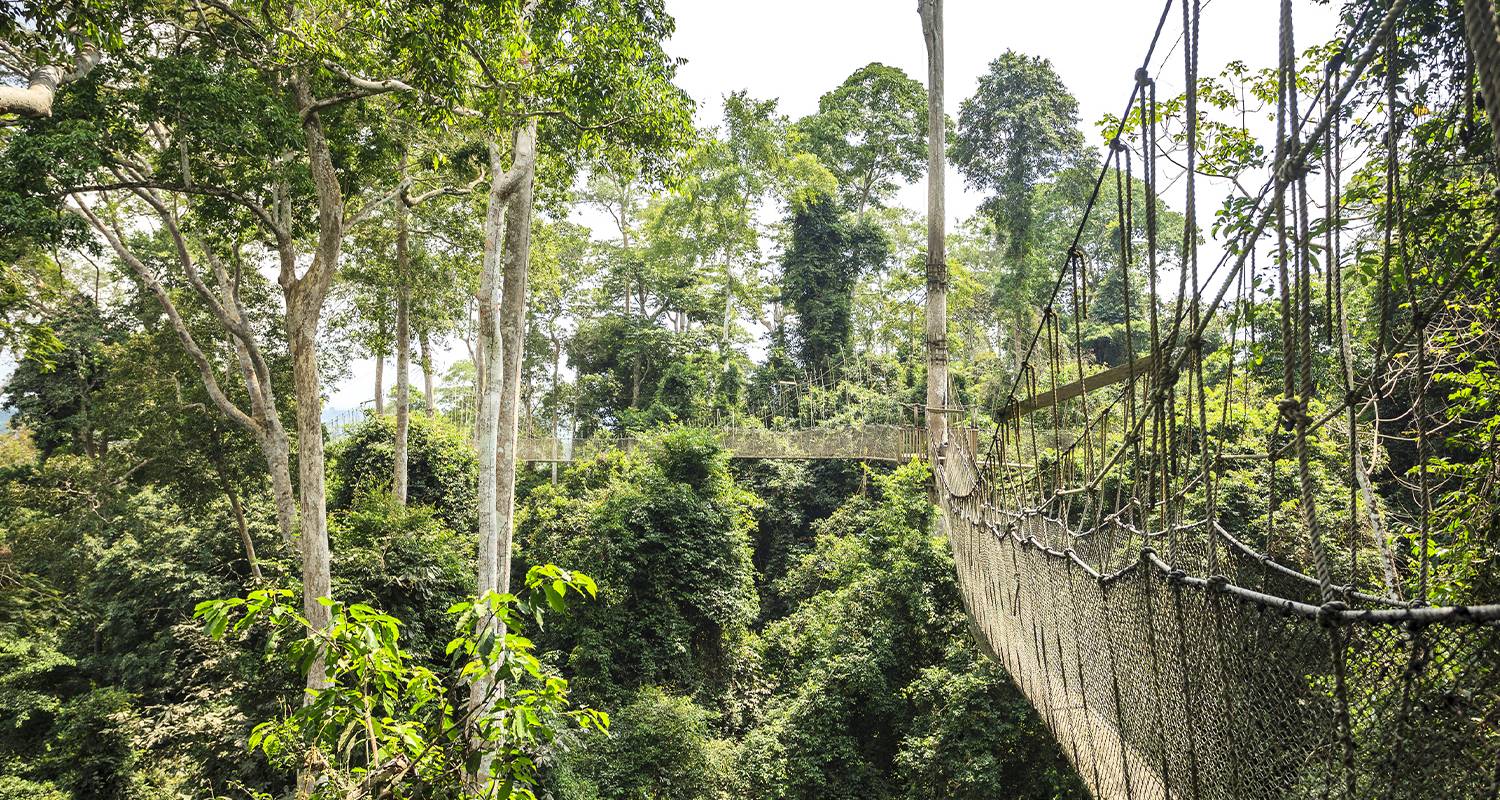 Circuits Ghana de 2 semaines