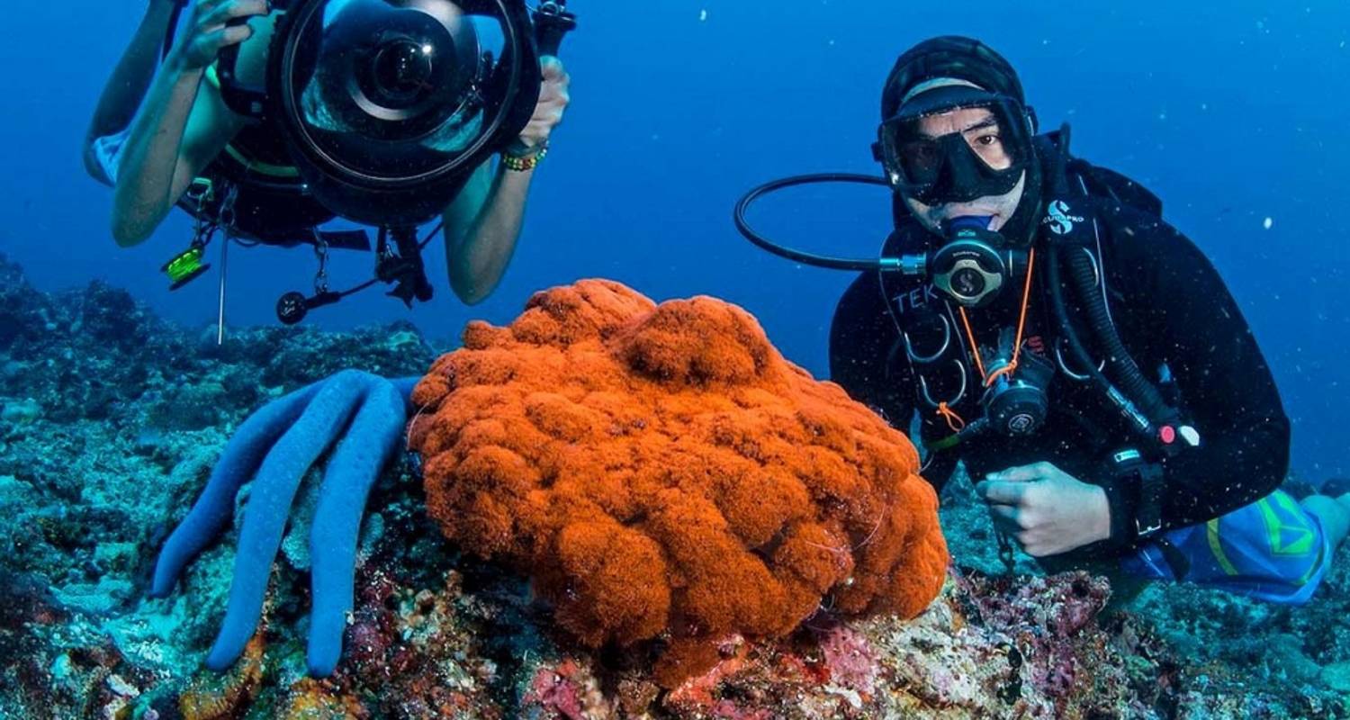 Personalized Tours & Trips in Palawan Island