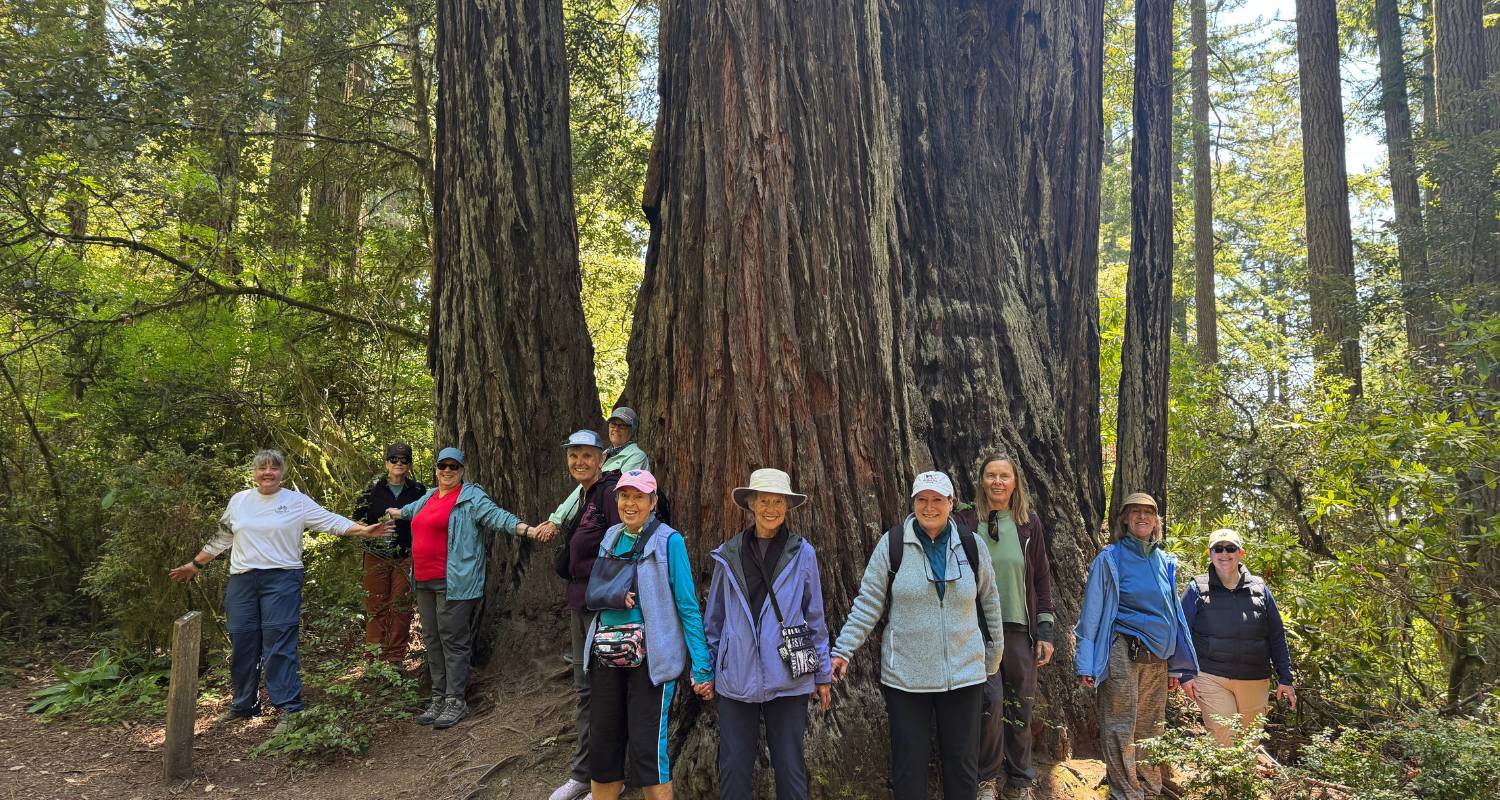 7-Day California Tour Packages