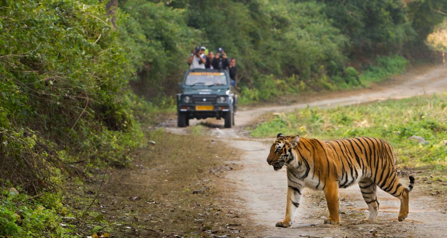 1-Month+ Golden Triangle Tour Packages