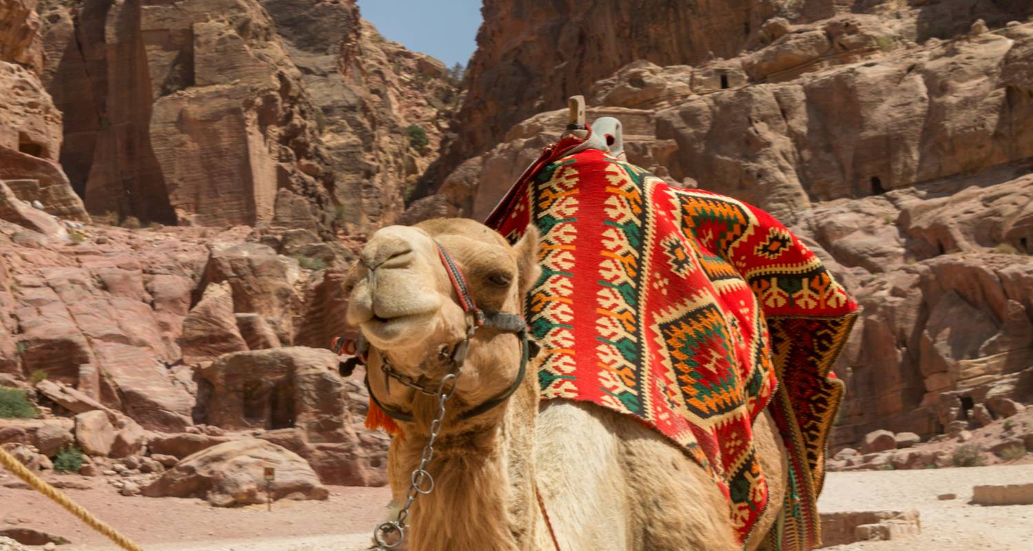 Nature & Wildlife Tours & Trips in Middle East