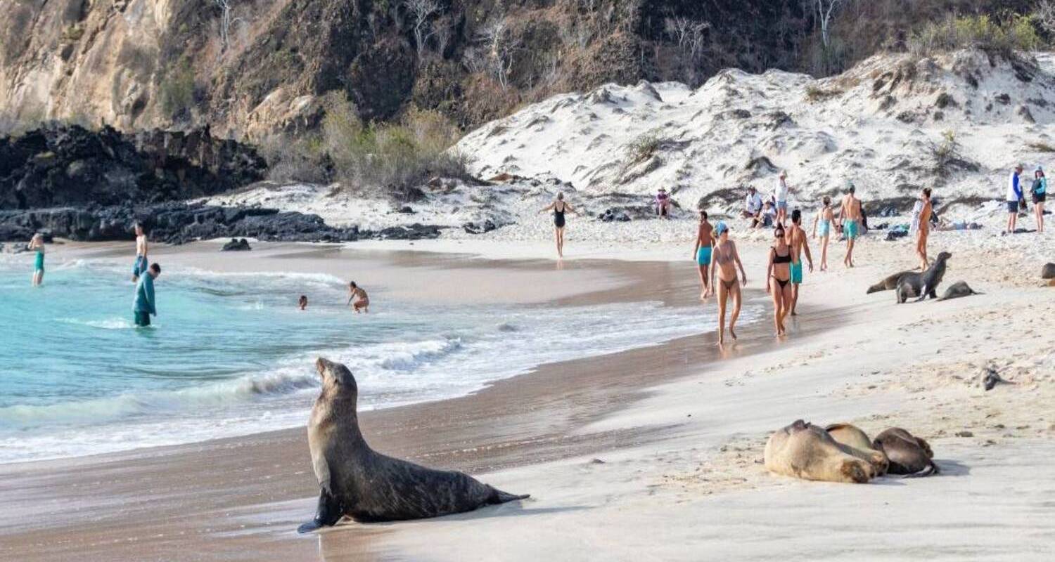 Puerto Ayora Tours & Trips