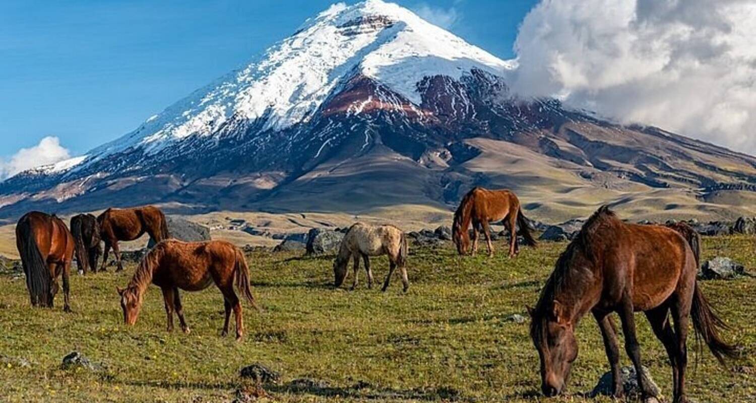 Cotopaxi Nationalpark Reisen