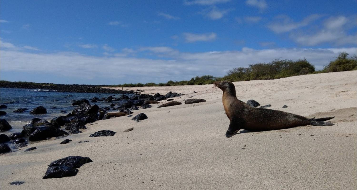 7-Day Ecuador Tour Packages