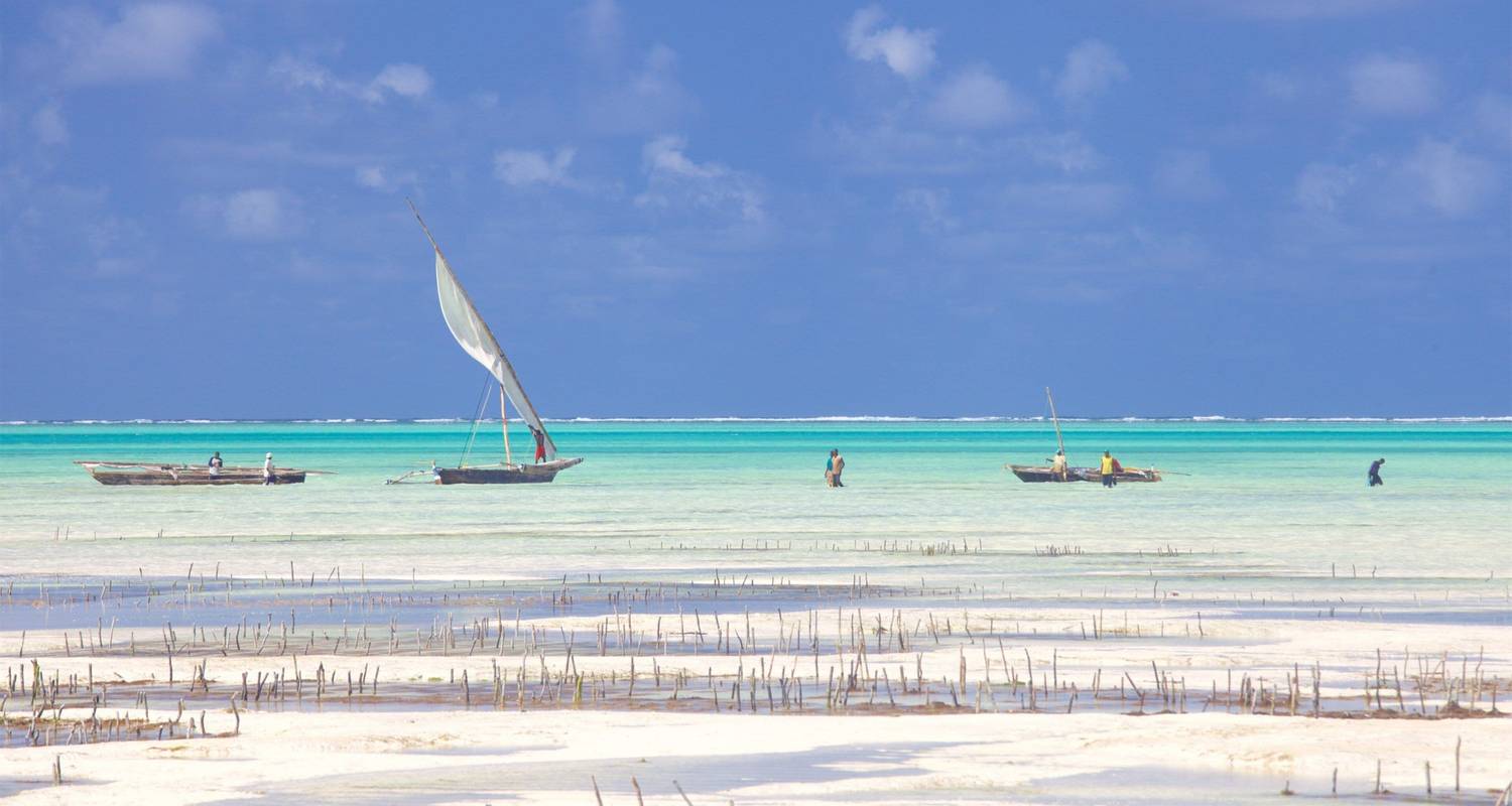 Circuits et voyages Noël et Nouvel An – Zanzibar