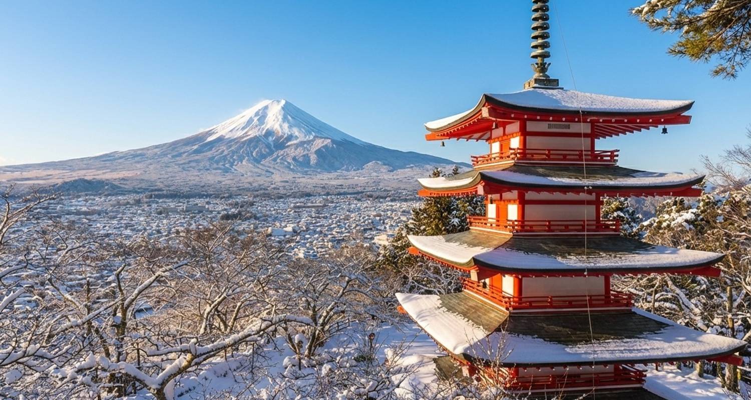 Food & Wine Tours & Trips in Japan