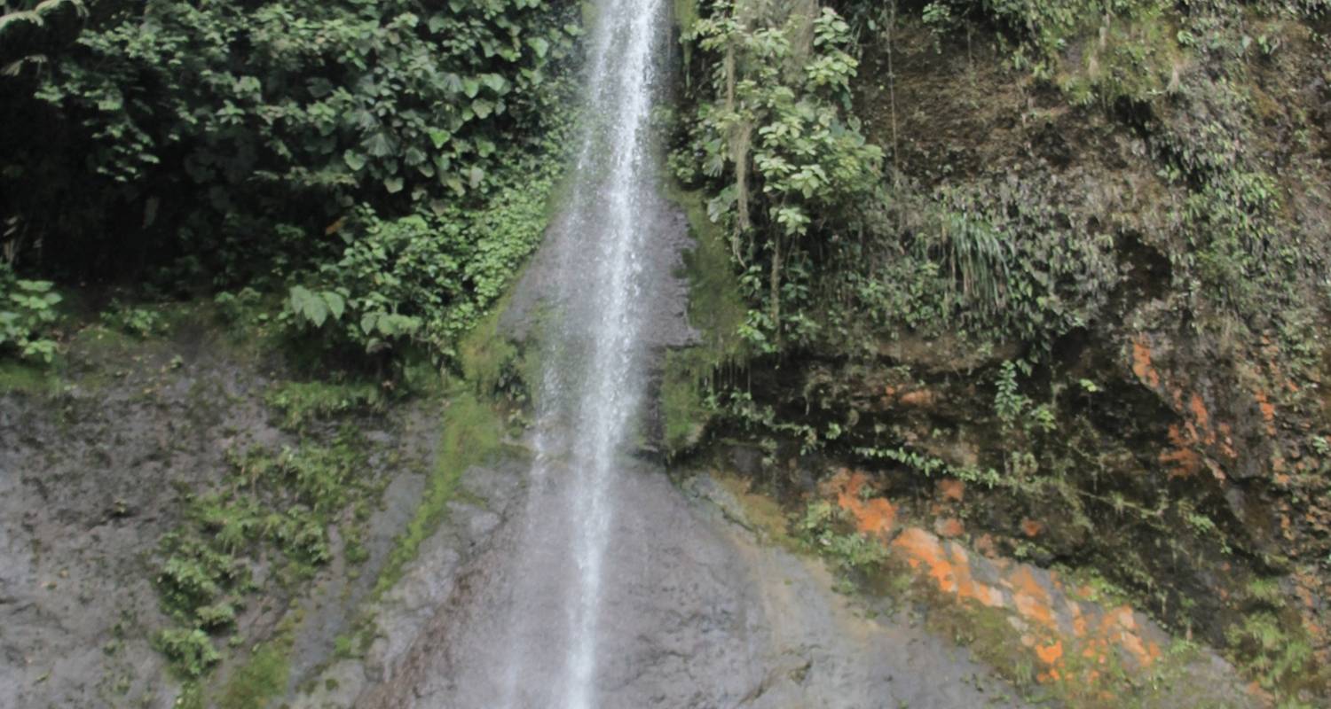 Circuitos por Costa Rica de 3 días