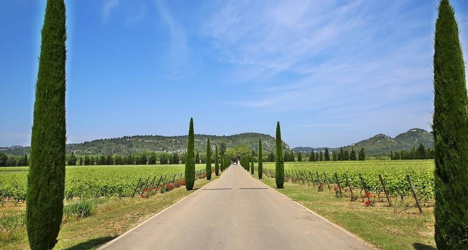 Burgundy Highlights - UTracks