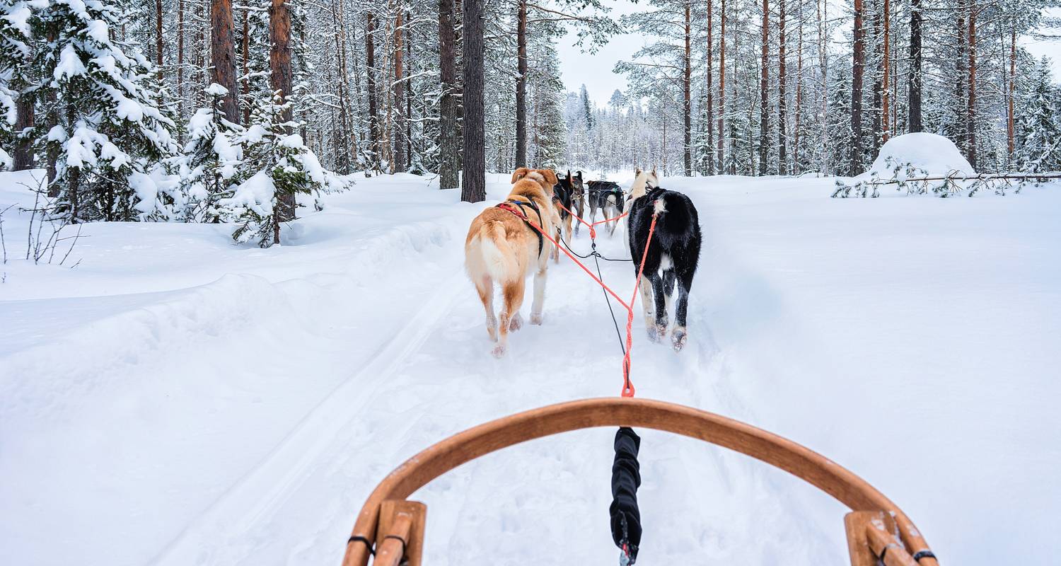 Lappland Rundreisen