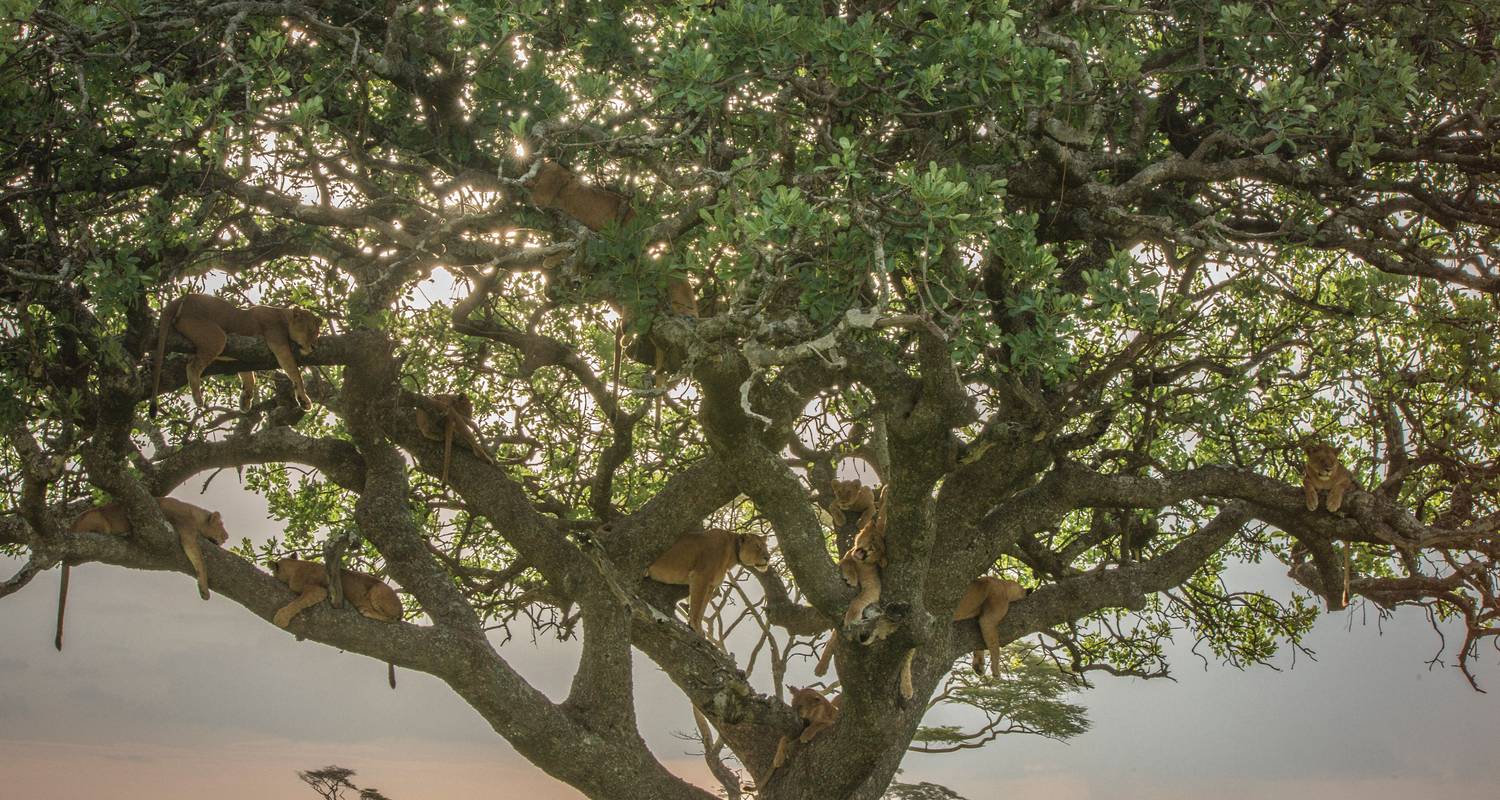 Ecoreis Rondreizen in Oost-Afrika