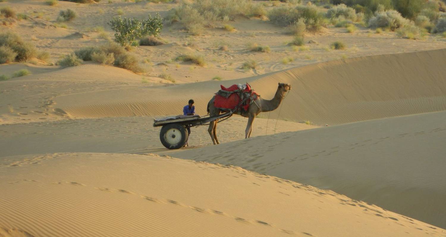 4-Week Golden Triangle Tour Packages