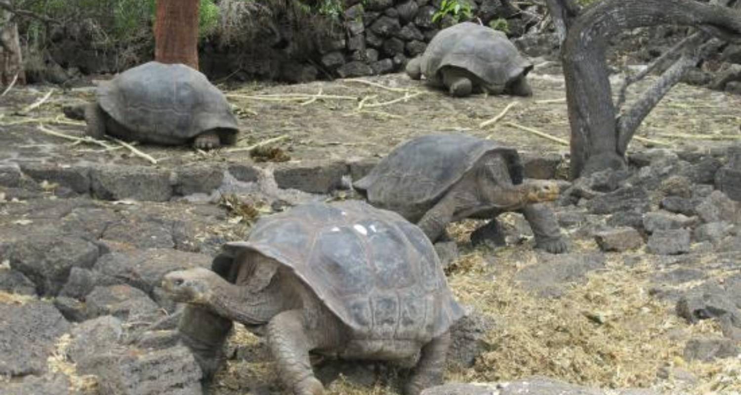 Circuitos por Ecuador de 2 semanas