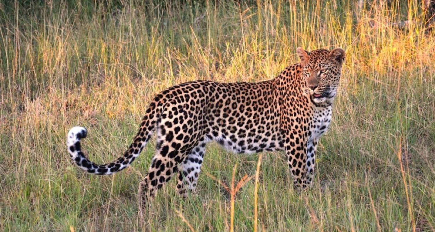 Natuur & Wilde dieren Rondreizen in Sri Lanka