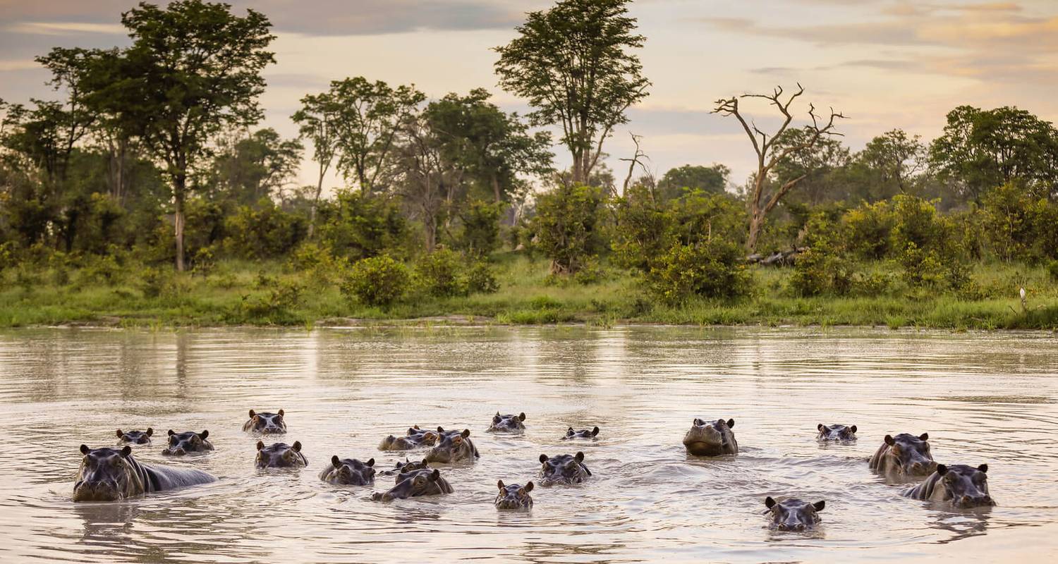 Botswana Rundreisen Kleingruppe