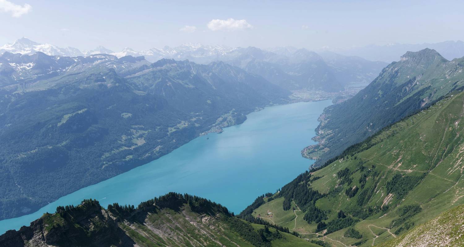 Swiss Alps Tours for Solo Travelers