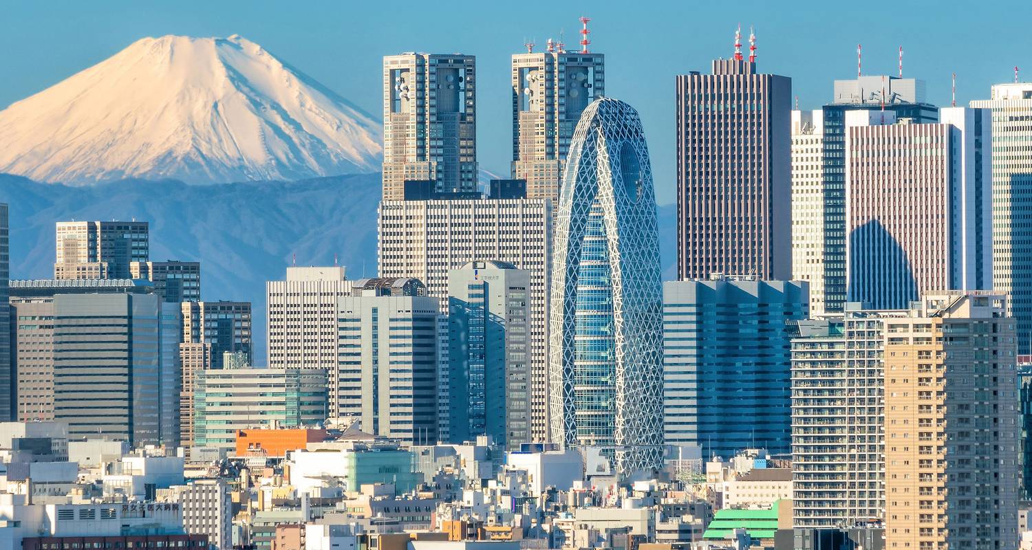 Circuits Japon de 4 semaines