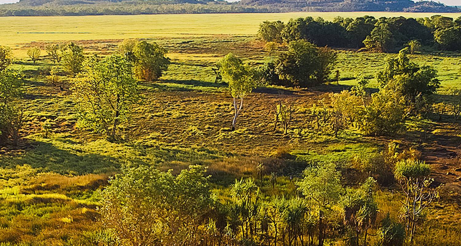 Kakadu und Nitmiluk (Katherine) Schlucht (Kurzurlaub) (von Darwin bis Katherine) - AAT Kings