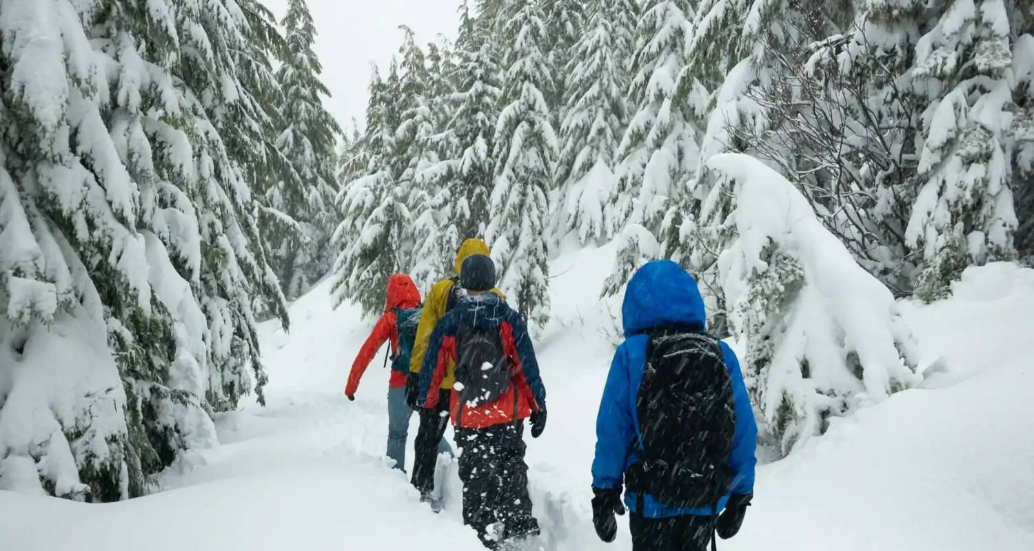Pikku-Syötes Zauber: Unberührtes Lappland mit Skimöglichkeit (8 Tage) - ASI Reisen