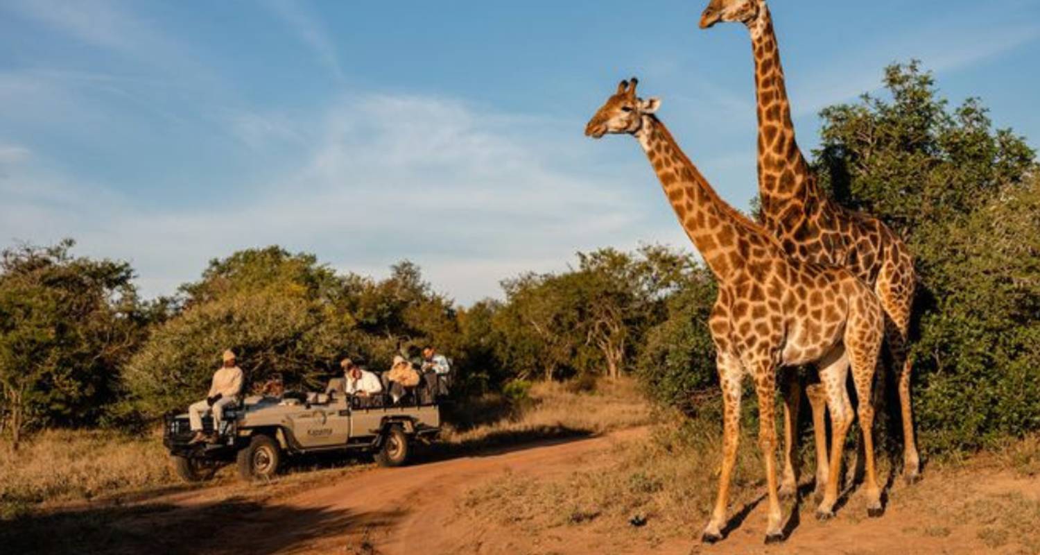 3 Tage Kruger Rundreisen